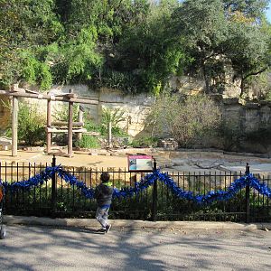 Spectacled Bear Grotto