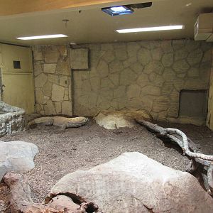 Komodo Dragon Indoor area