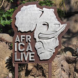 Africa Live sign
