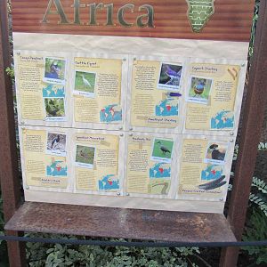 please delete-duplicate