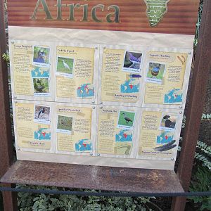 African Aviary Signage Example and Species List