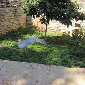 SUPER-BIRD! (sandhill crane)