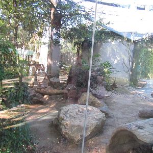 Tayra Habitat in Tiny Tot Nature Spot