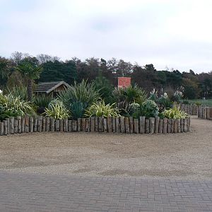 View From Entrance - 22 November 2015