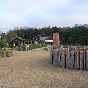 View - 22 November 2015