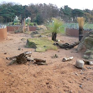 View of Meerkat and Mongoose Mansion - 22 November 2015