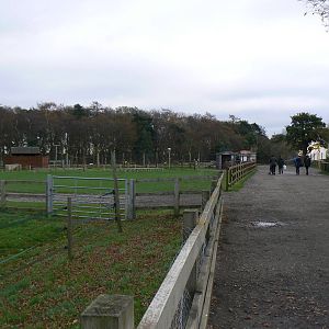 View - 22 November 2015