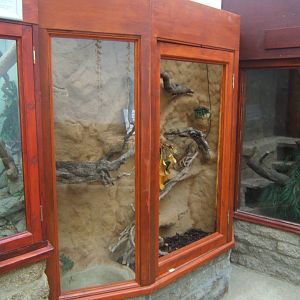 Latest work on the new Royal Python exhibit