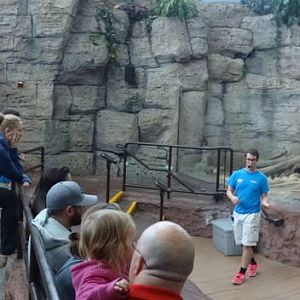 Nov. 2015 - Canyon Falls Panorama (3 Exhibits)