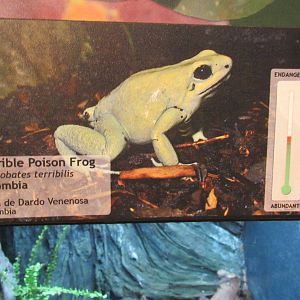 Signage example in Toadally