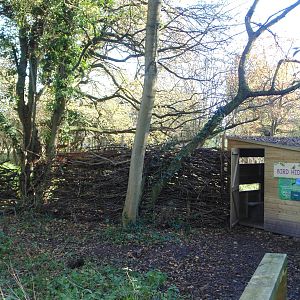 Bird Hide