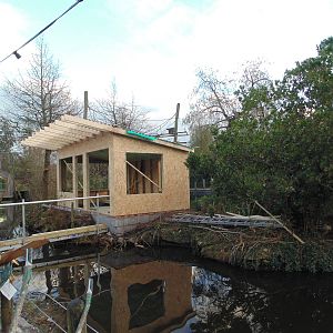 Construction on Island (I believe formerly home to a Ring Tailed Lemur)