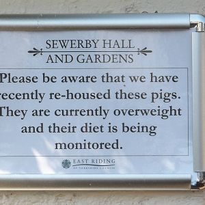 Signage re Prada and Radley, 23rd August 2015