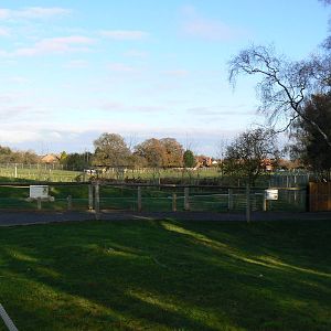 View - 22 November 2015