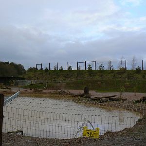 View of Part of Giant Otter enclosure - 22 November 2015