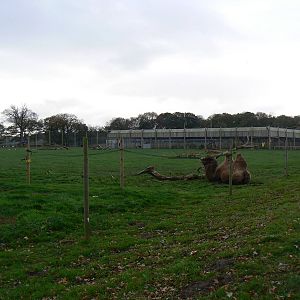 View - 22 November 2015