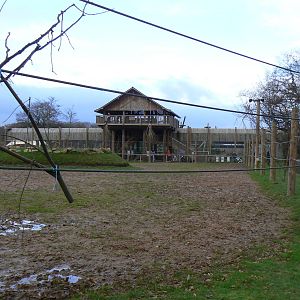 View of Part of the Giraffe Enclosure and onto 'Leopard Heights' - 22 Novem