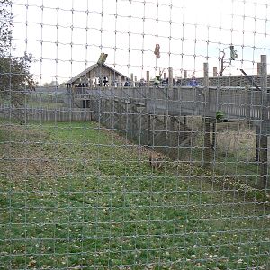 View of Part of 'Land of the Tiger' - 22 November 2015