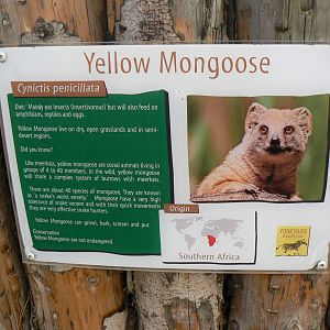 Example of Signage - 22 November 2015