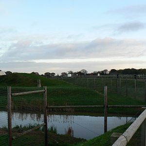 View of 'Lion Country' - 22 November 2015