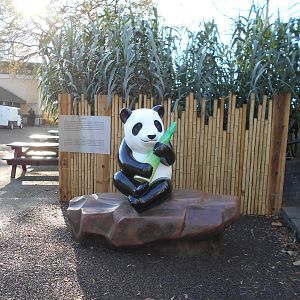 New statue of Ming the panda, 22/11/2015