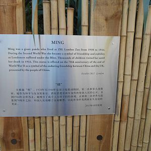 Ming statue panel, 22/11/2015