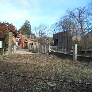 Land of the Lions progress, 22/11/2015