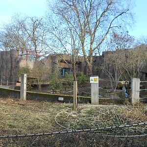 Land of the Lions progress, 22/11/2015