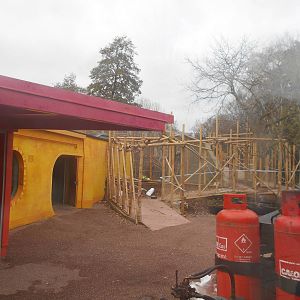 Land of the Lions progress, 22/11/2015