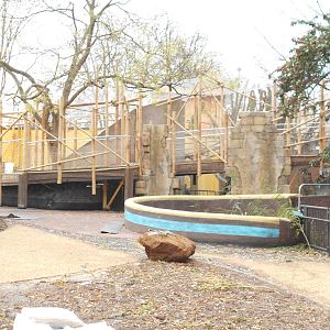 Land of the Lions progress, 22/11/2015