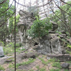 condor exhibit BA zoo