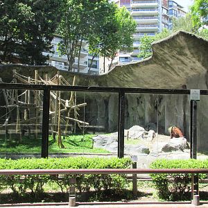 exhibit for Sandra a non human person with a habeas corpus who is also an o