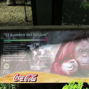 sign for Sandra a non human person with a habeas corpus who is also an oran