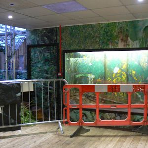 View of Cordoned Off Former Utila Spinytail Iguana Enclosure- 28 November 2