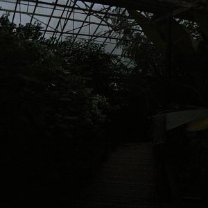 View of the Butterfly House at Dusk - 28 November 2015