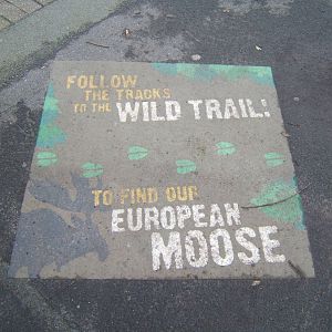 Direction signage on path