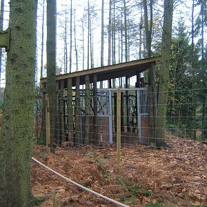 View of European Moose enclosure housing