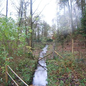 View of European Moose enclosure