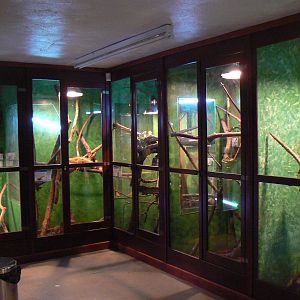 View of Part of Reptile House - 28 November 2015