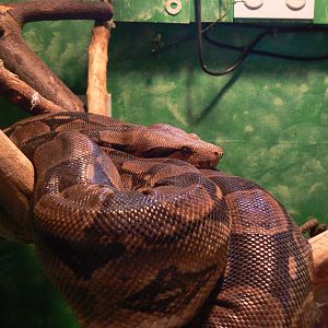 Id? - 28 November 2015