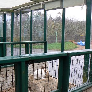 View of Bunny Barn- 28 November 2015
