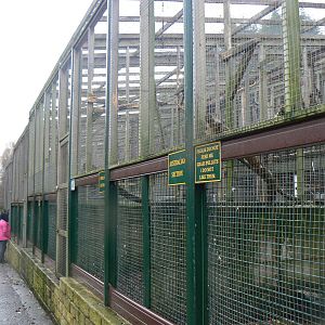 View of Aviaries - 28 November 2015