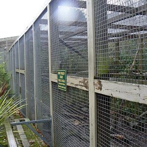 View of Ring-tailed Coati Enclosure - 28 November 2015