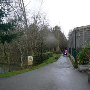 View - 28 November 2015