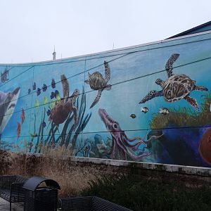 Nov. 2015 - New Aquarium Mural