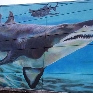 Nov. 2015 - New Aquarium Mural