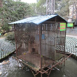 Hongmei Park Aviary - Macaque Cage