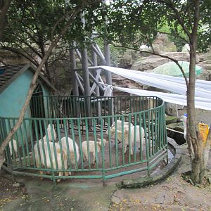 Hongmei Park Aviary - Goat Pen