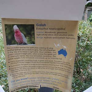 Bird Signage Example