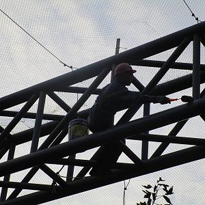 Hongmei Park Aviary - maintenance